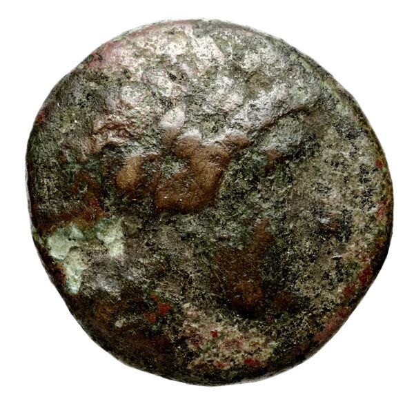 аверс Seleucid Coins (part 1) 525.1d