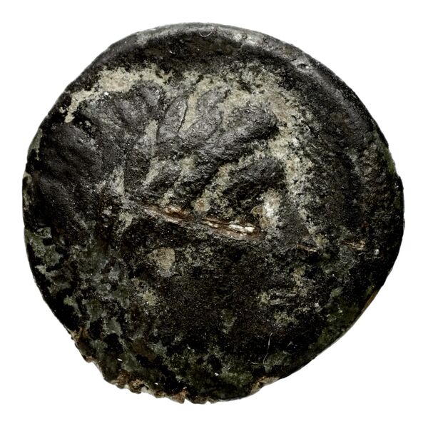 аверс Seleucid Coins (part 1) 522.1a
