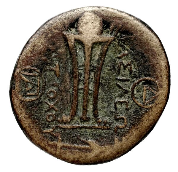 Seleucid Coins (part 1) 575.1b, реверс, bnf-hrc