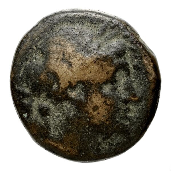Seleucid Coins (part 1) 575.1b, аверс, bnf-hrc