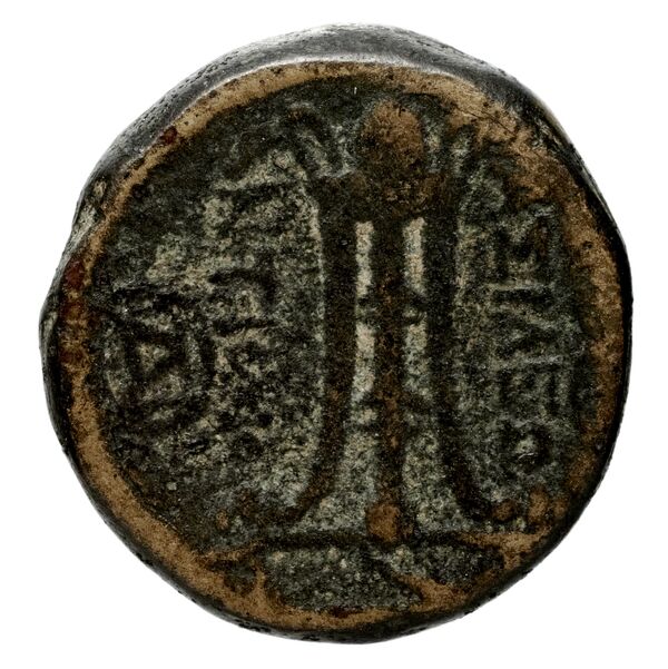 Seleucid Coins (part 1) 575.1b, реверс, bnf-hrc