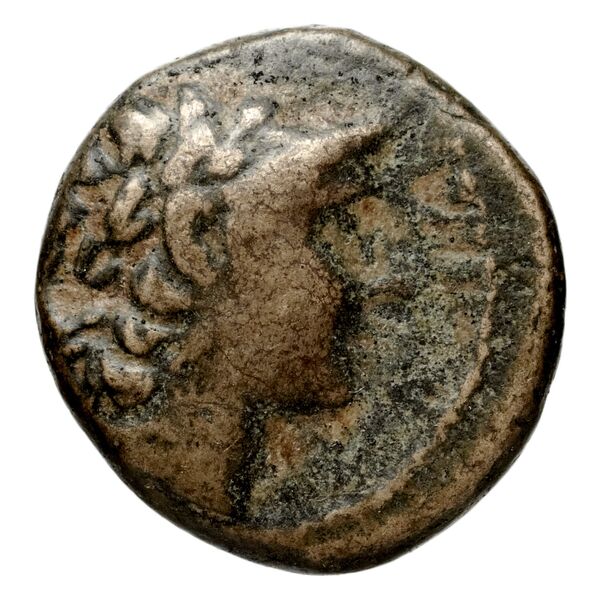 Seleucid Coins (part 1) 1050.1, аверс, bnf-hrc