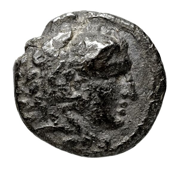 аверс Seleucid Coins (part 1) 217.2