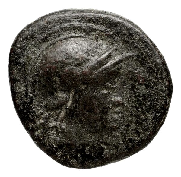 аверс Seleucid Coins (part 1) 737