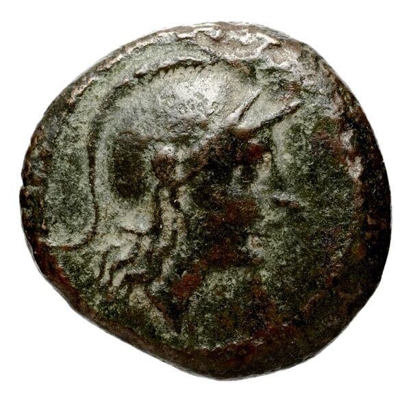 Seleucid Coins (part 1) 818, аверс, bnf-hrc