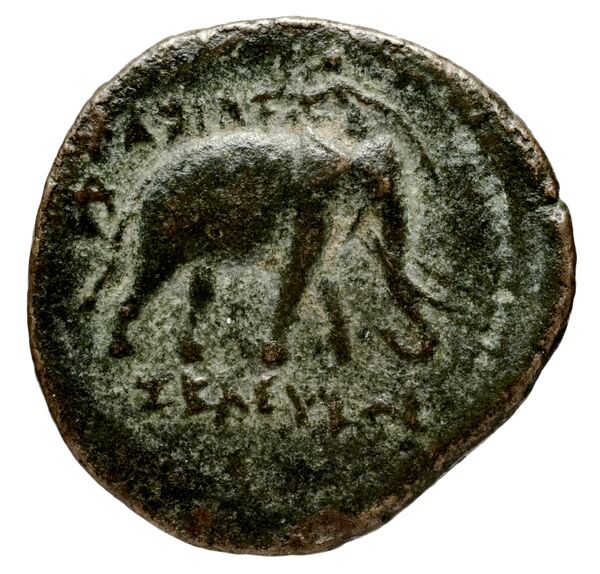 Seleucid Coins (part 1) 818, реверс, bnf-hrc