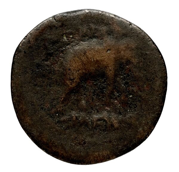 реверс Seleucid Coins (part 1) 818