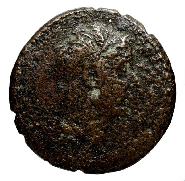 Seleucid Coins (part 1) 709a, аверс, bnf-hrc