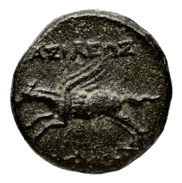 Seleucid Coins (part 1) 712.1, реверс, bnf-hrc
