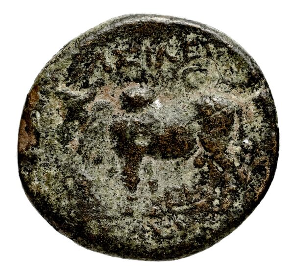 реверс Seleucid Coins (part 1) 708b