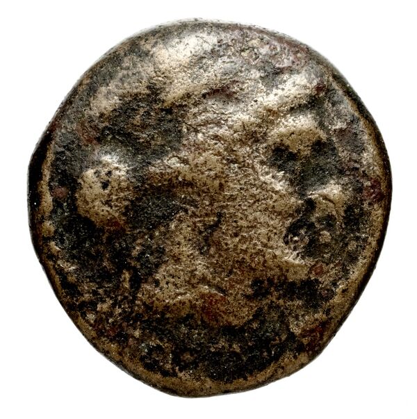 Seleucid Coins (part 1) 708, obverse, bnf-hrc