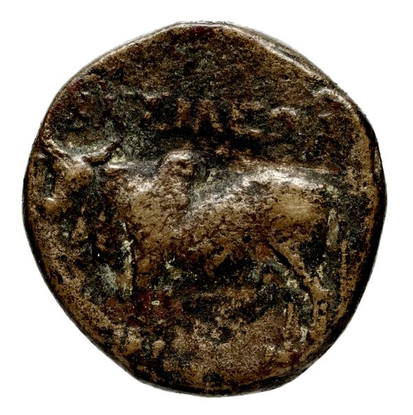 reverse Seleucid Coins (part 1) 708