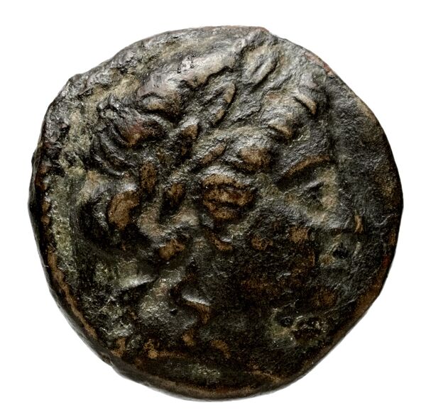 аверс Seleucid Coins (part 1) 708a