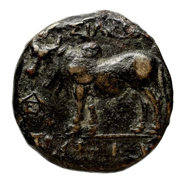 реверс Seleucid Coins (part 1) 708a