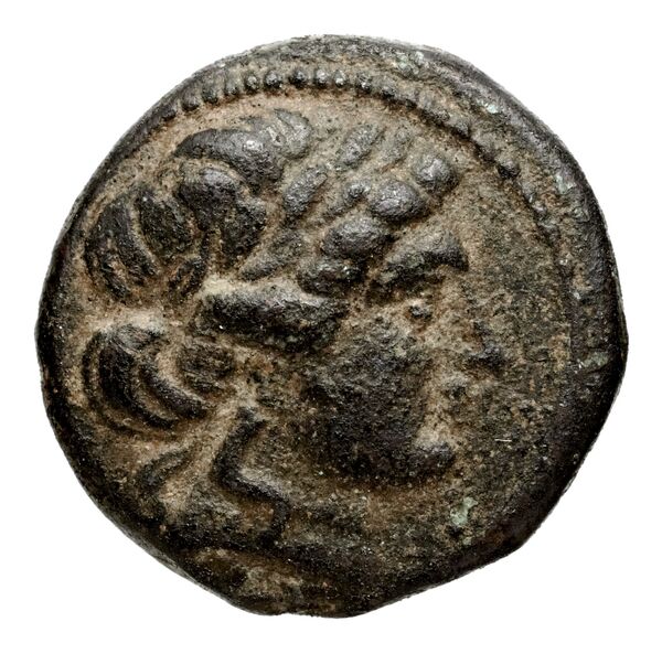 Seleucid Coins (part 1) 708a, аверс, bnf-hrc