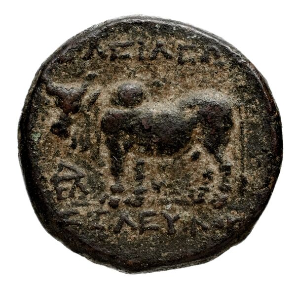 Seleucid Coins (part 1) 708a, реверс, bnf-hrc