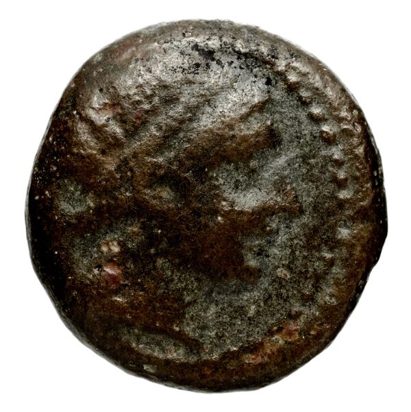 аверс Seleucid Coins (part 1) 1238