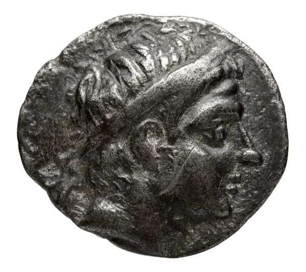 аверс Seleucid Coins (part 1) 935