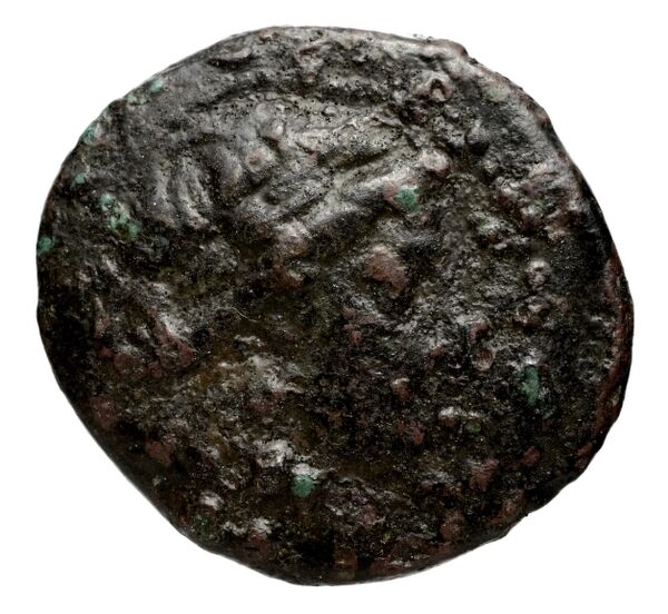 Seleucid Coins (part 1) 693, аверс, bnf-hrc
