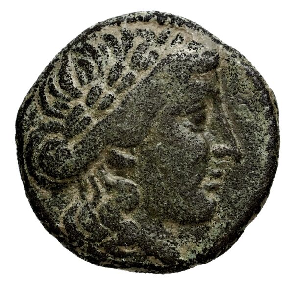 Seleucid Coins (part 1) 696, аверс, bnf-hrc