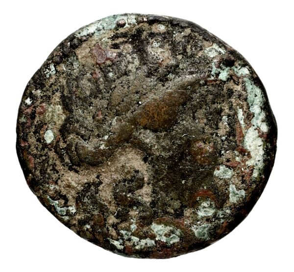 Seleucid Coins (part 1) 696, аверс, bnf-hrc