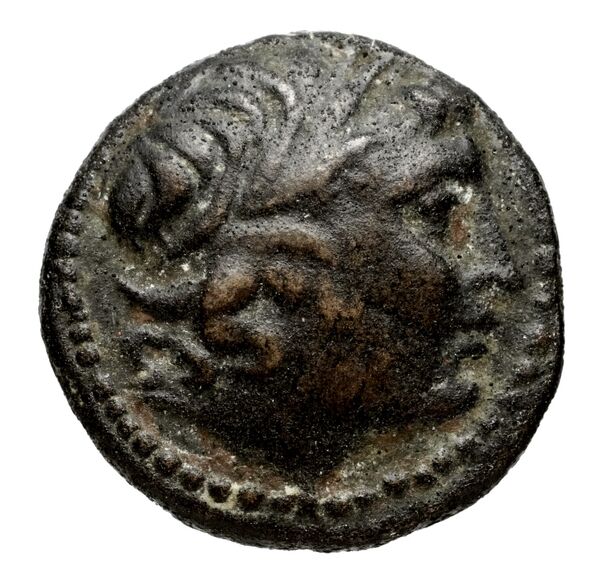 Seleucid Coins (part 1) 924, аверс, bnf-hrc