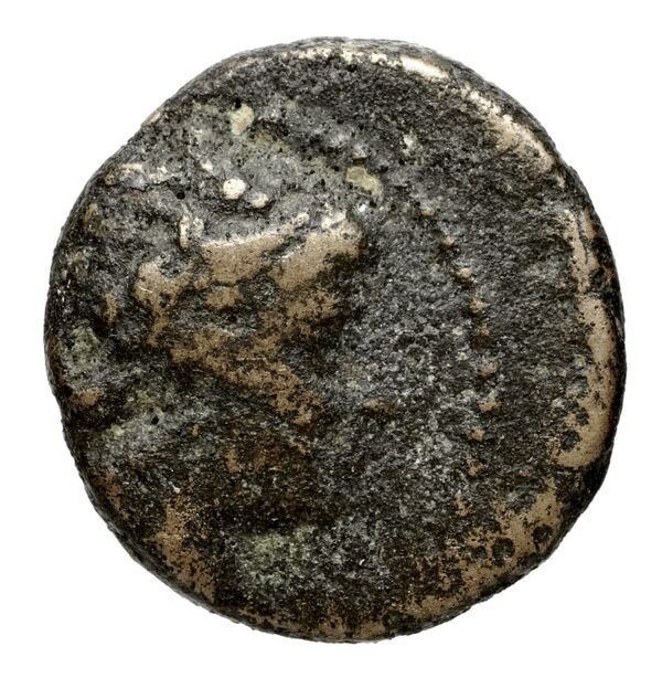 Seleucid Coins (part 1) 19, аверс, bnf-hrc