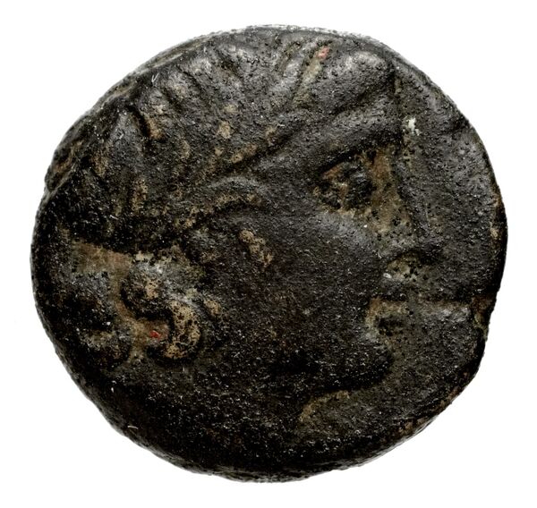 Seleucid Coins (part 1) 924, аверс, bnf-hrc