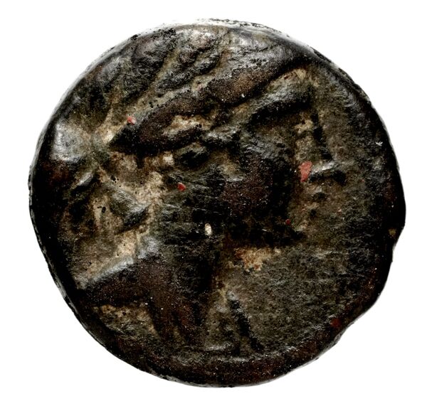 Seleucid Coins (part 1) 922, аверс, bnf-hrc