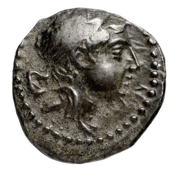 аверс Seleucid Coins (part 2) 1545.4