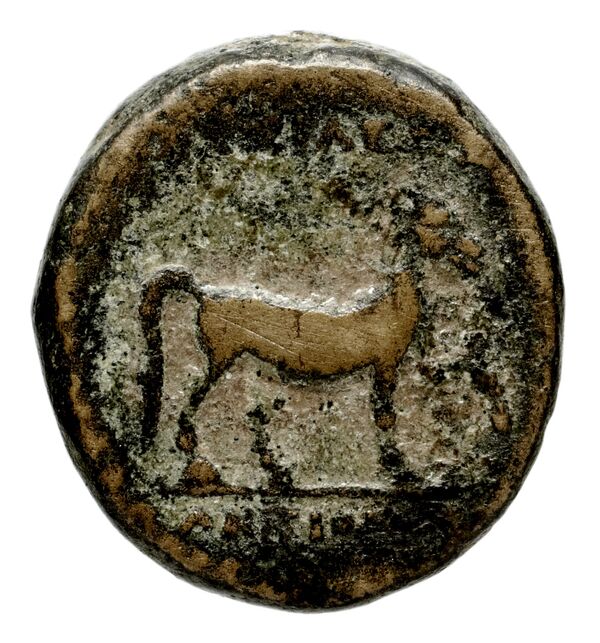 реверс Seleucid Coins (part 1) 1094