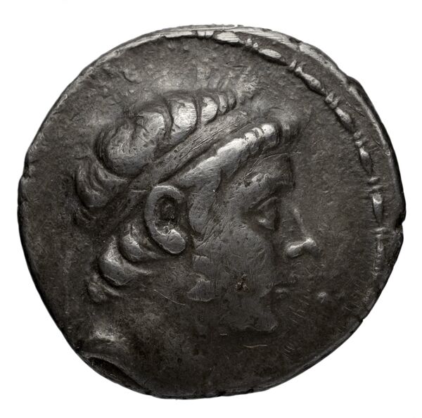 obverse Seleucid Coins (part 1) 1041.1