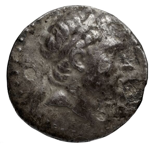 аверс Seleucid Coins (part 1) 1132.6