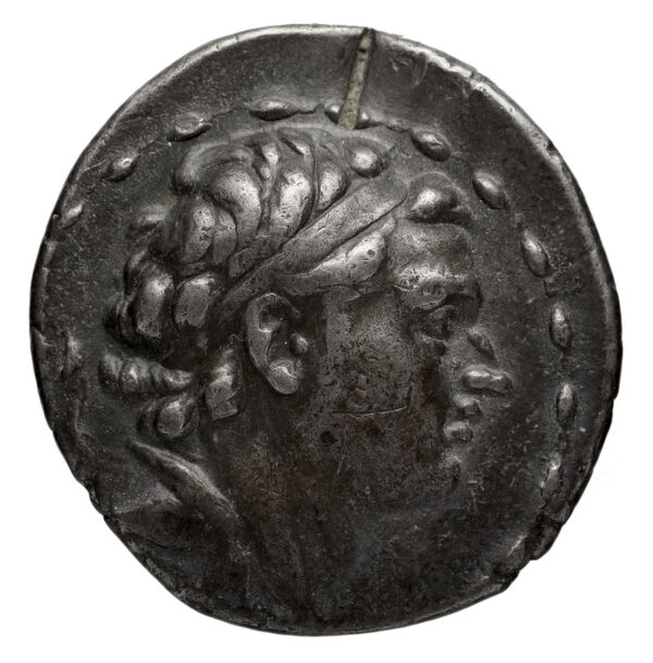 obverse Seleucid Coins (part 1) 1045.3