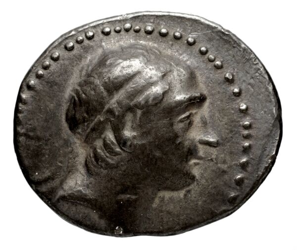 аверс Seleucid Coins (part 1) 1113.4