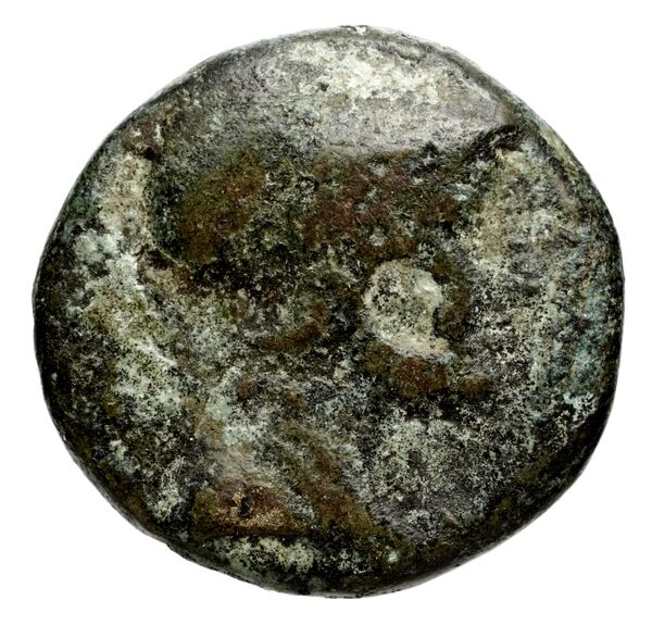 Seleucid Coins (part 1) 713, аверс, bnf-hrc