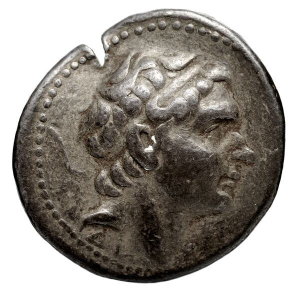 аверс Seleucid Coins (part 1) 1113.3