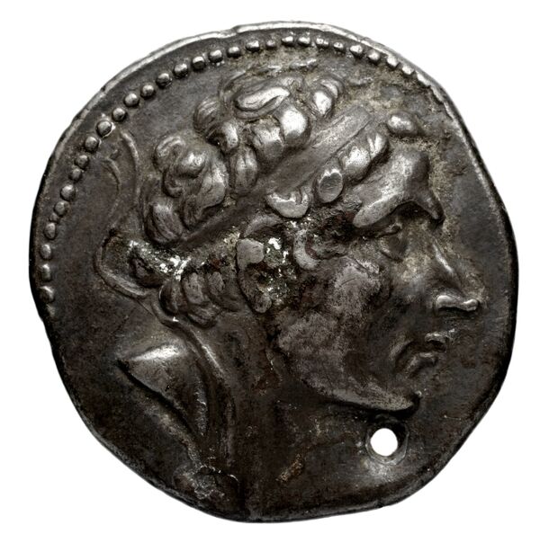 аверс Seleucid Coins (part 1) 1142