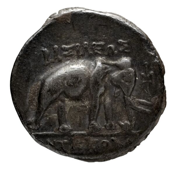 Seleucid Coins (part 1) 1066, реверс, bnf-hrc