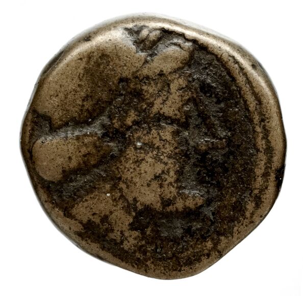Seleucid Coins (part 1) 1064e, аверс, bnf-hrc