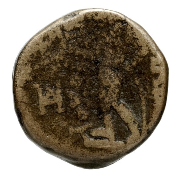 Seleucid Coins (part 1) 1064e, реверс, bnf-hrc