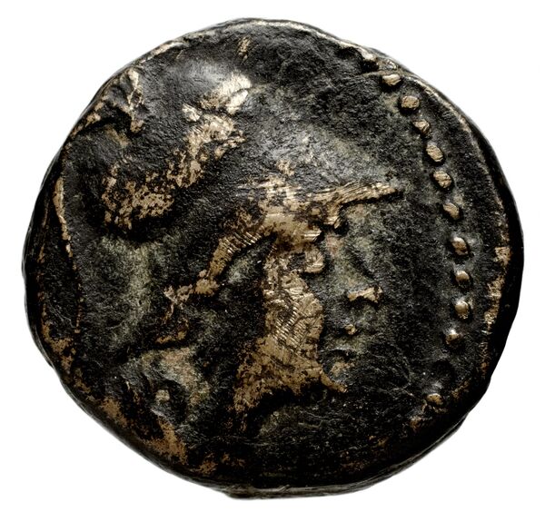аверс Seleucid Coins (part 1) 692.2