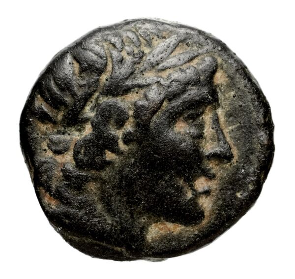 obverse Seleucid Coins (part 1) 1052d