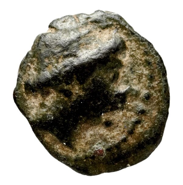 obverse Seleucid Coins (part 1) 1055.4