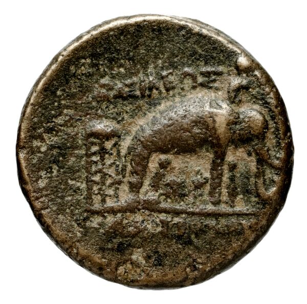 реверс Seleucid Coins (part 1) 1084a