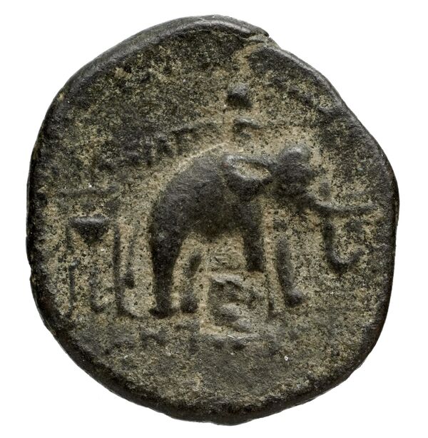реверс Seleucid Coins (part 1) 1084
