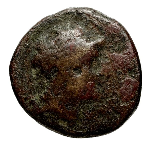 Seleucid Coins (part 1) 1084a, аверс, bnf-hrc