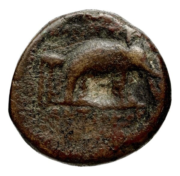 Seleucid Coins (part 1) 1084a, реверс, bnf-hrc