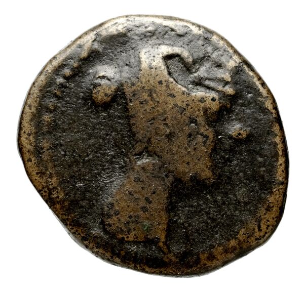 аверс Seleucid Coins (part 2) 1407a