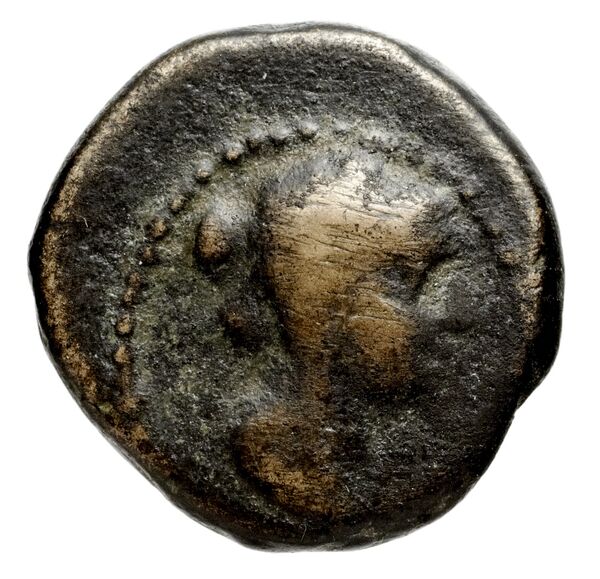 Seleucid Coins (part 2) 1407, аверс, bnf-hrc